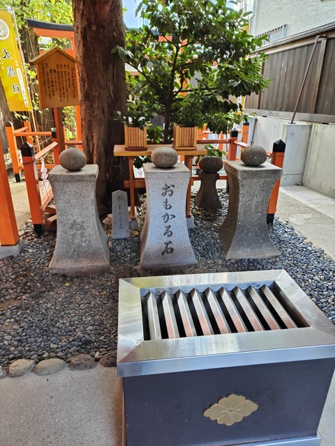 IMG20241130094644