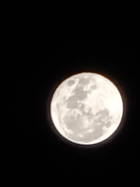 mmexport1601780847744