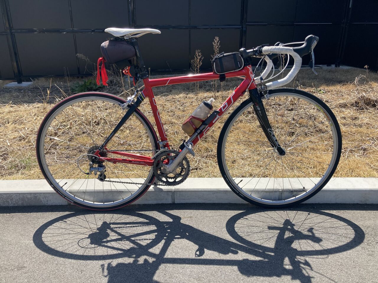 桜銘木・山・自転車堪能のOBラン : austintexasの自転車日誌 桜銘木・山・自転車堪能のOBラン : austintexasの自転車日誌