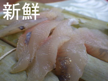 にじますの新鮮なお刺身