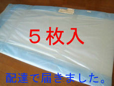 プラダン 5枚入