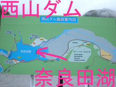西山ダム 奈良田湖