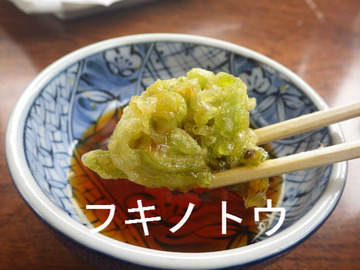 フキノトウ