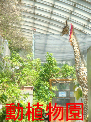 動植物園