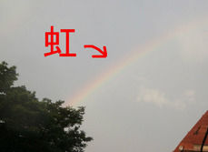 虹