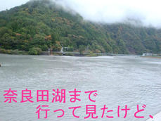 奈良田湖まで行って見たけど、