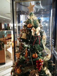 クリスマスツリー
