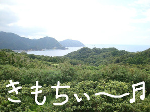 きもちいい景色