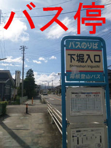 バス停