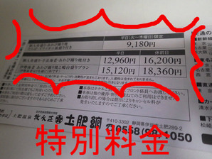特別料金