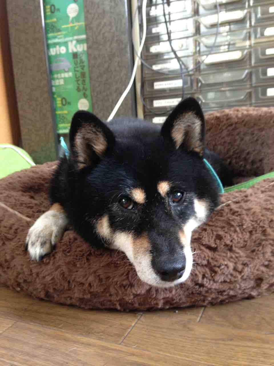 53250BBD-8672-4C39-B75A-1E88A00A120A