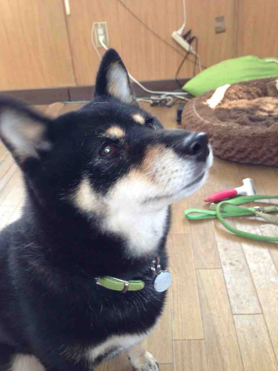 DC4140C2-C440-4E51-91C1-D2E9AEE01C4B