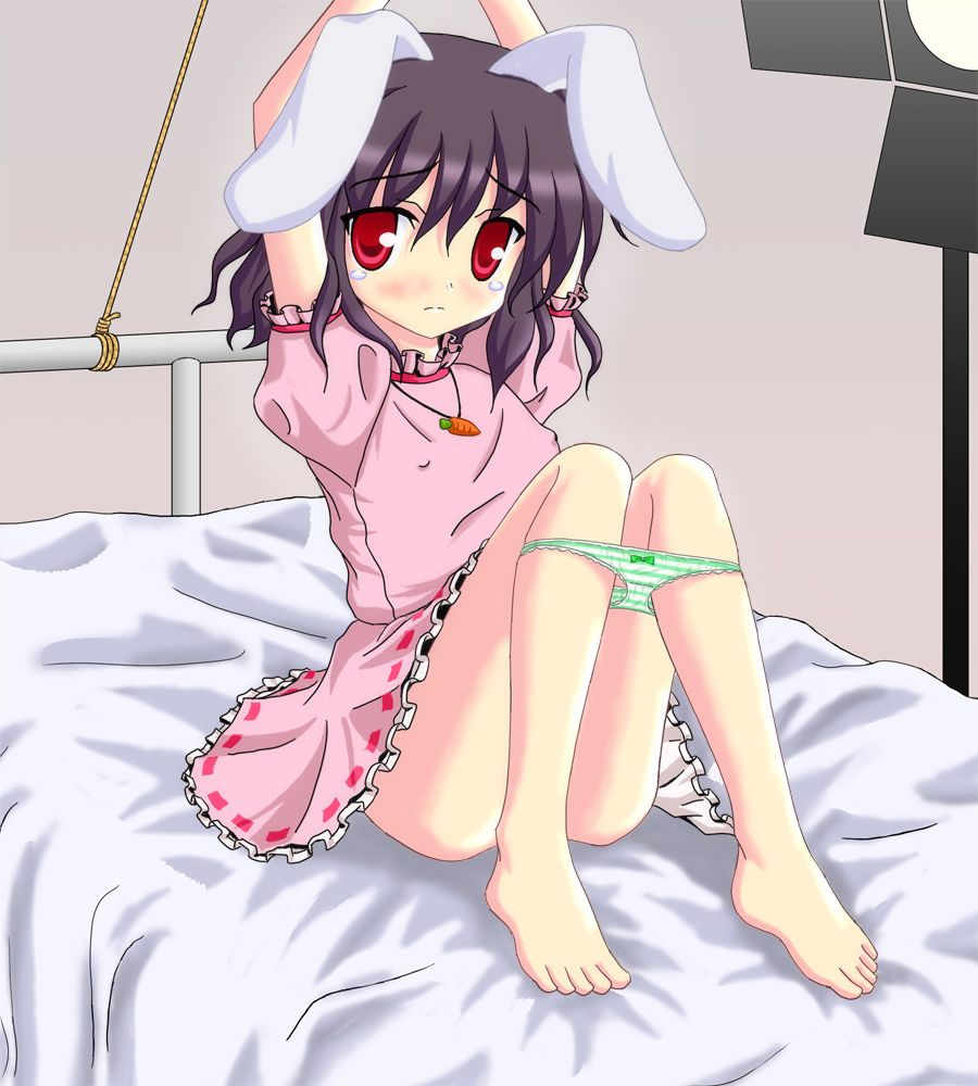 因幡 てゐ 画像 東方速報 因幡 てゐ 画像 東方速報