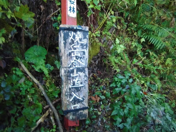 百名山 北アルプス 焼岳 2455m 登山 新中ノ湯 上高地 Kuniさんのアウトドアライフ 百名山 北アルプス 焼岳 2455m 登山 新中ノ湯 上高地 Kuniさんのアウトドアライフ