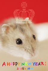 ǯ�����΢��