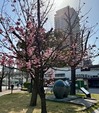 IMG_7088