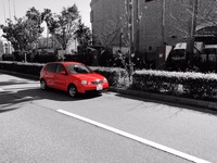 IMG_1278