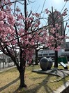 IMG_1620