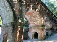 IMG_7370