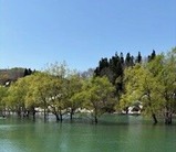 IMG_7470 (002)