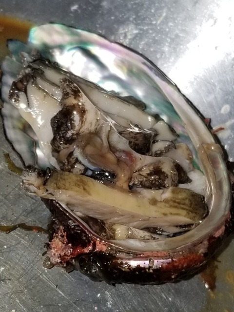 21-11-22-20-39-22-997_deco