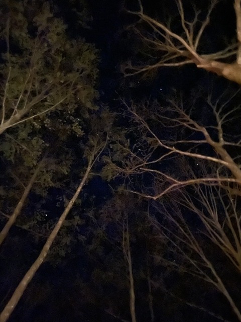 1620108619615