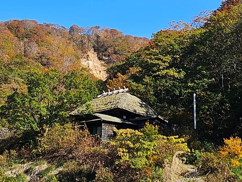 24-10-22-07-10-10-920_deco