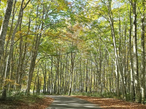 24-10-22-07-07-31-367_deco