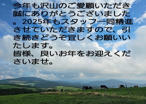 24-12-25-13-46-23-869_deco