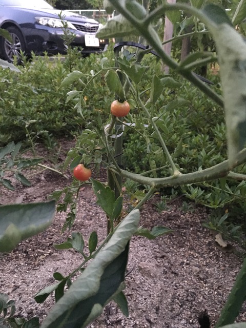 88E46482-0333-45D7-9BB8-5AFF5441A5BB