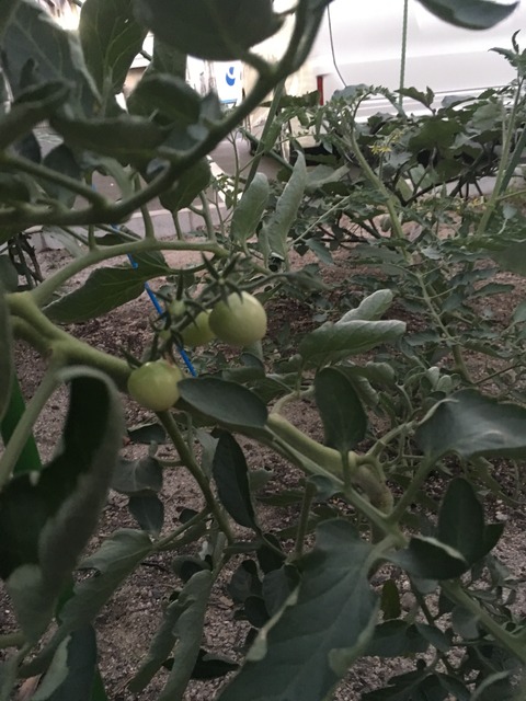 D274D3C4-07C9-4559-89EA-35714C52E9C6