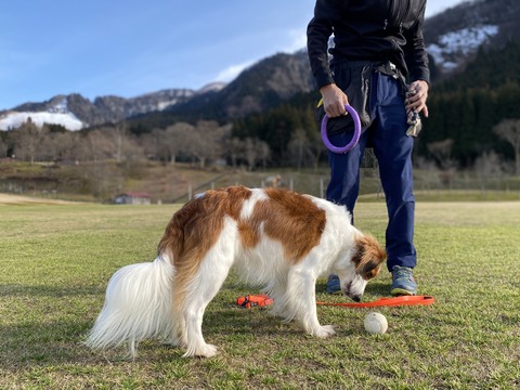 174E02F4-D7EC-40BA-A6D5-D3365D4C44A5