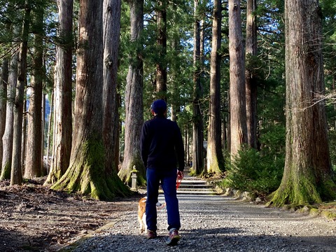 6866145E-A23D-432E-AC2F-E682183DD725