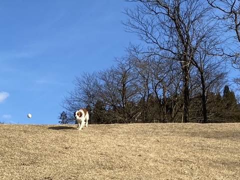 3A2C68FE-5F09-4339-B09B-78EF6E87051F