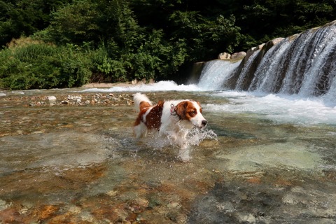 4CE566E9-40AA-4EF7-A855-6F7F911D83F5