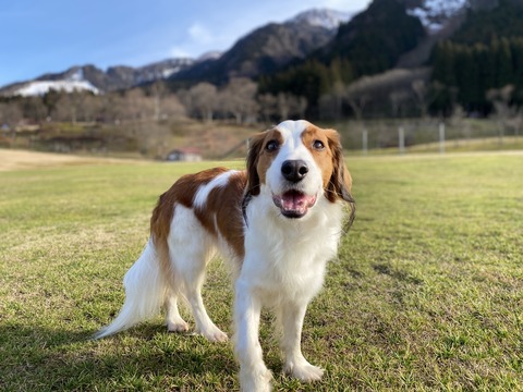 CC377340-2549-4D79-8AFB-E1DB1604E46D