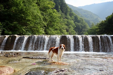 C15AE55D-2107-4A12-A901-DF03C0D21673