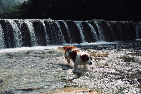 52F6290E-274D-4F3A-83EB-E611B5BB8DAE