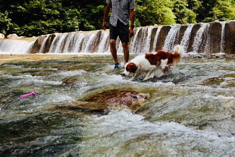 52118C31-2C60-4F9B-BA8B-4B945E817ABC