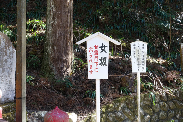 DSC00918