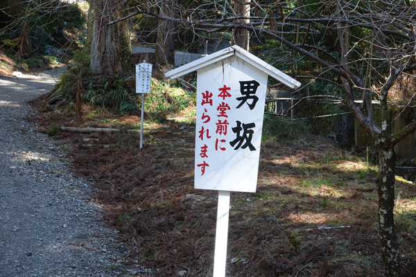 DSC00913
