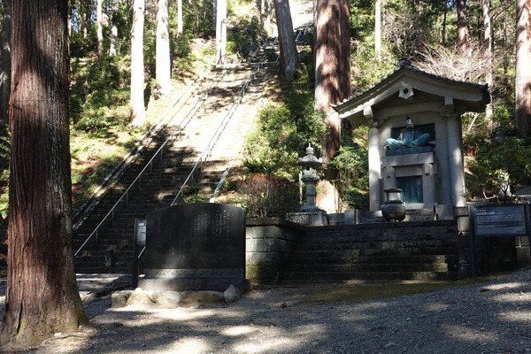 DSC00919