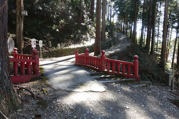 DSC00917