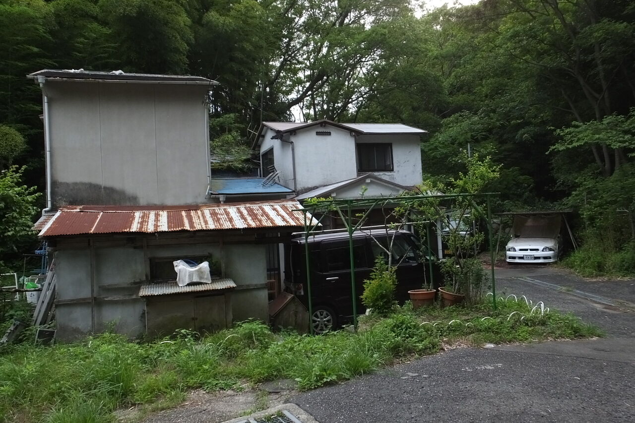 年07月 おぉたむすねィく グループ公式ブログ Autumn Snake