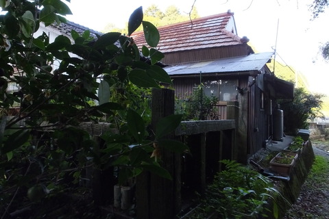 DSCF5814