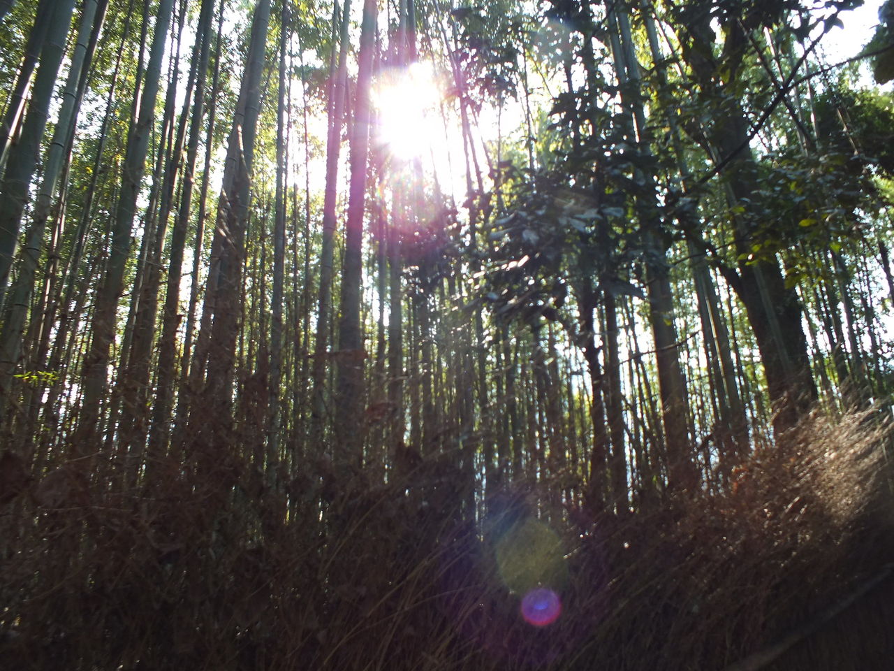 17年02月 おぉたむすねィく グループ公式ブログ Autumn Snake