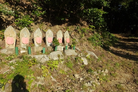 DSCF5826