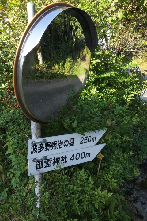DSCF5798
