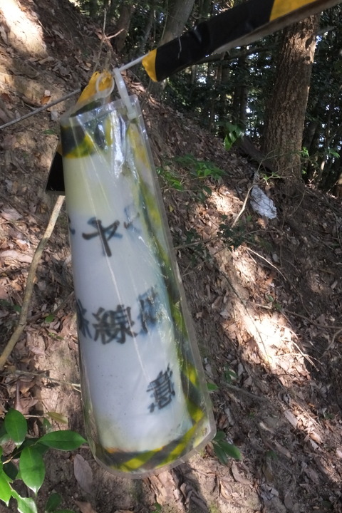 DSCF5827