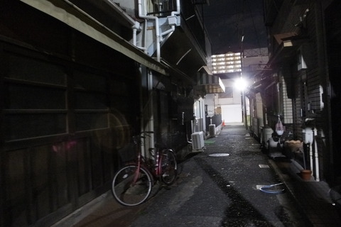 DSCF5994☆彡